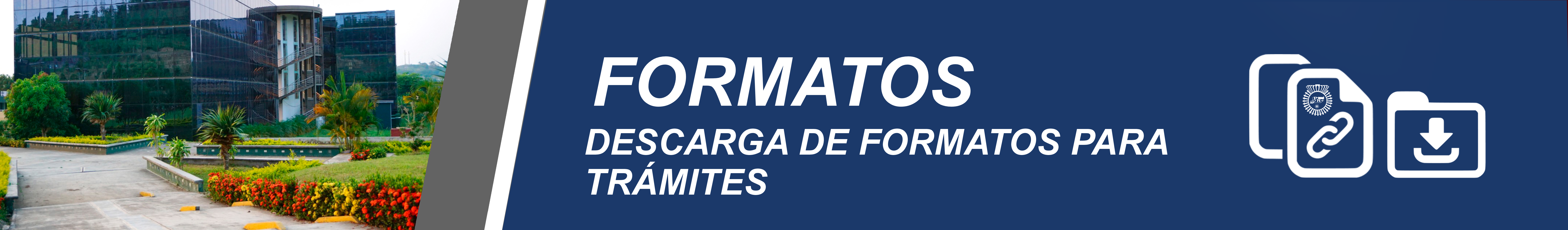 Formatos